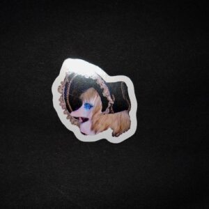 Lozärner Fasi Stickers